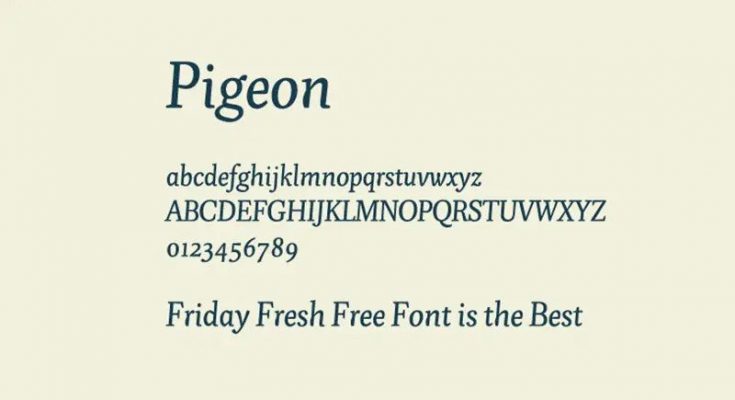Pigeon Font Free Download [Direct Link]
