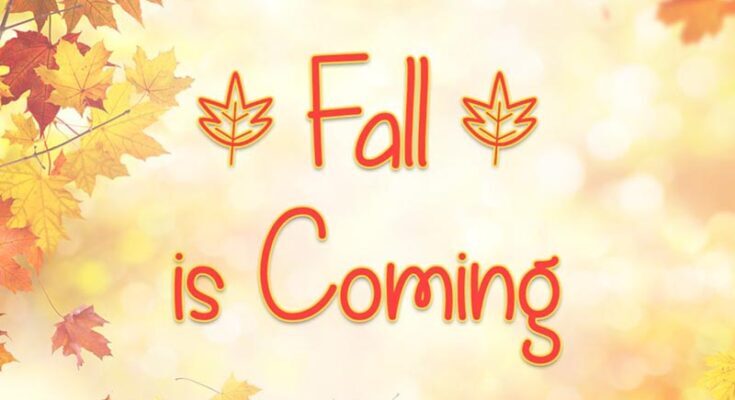 Fall is Coming Font Free Download [Direct Link]