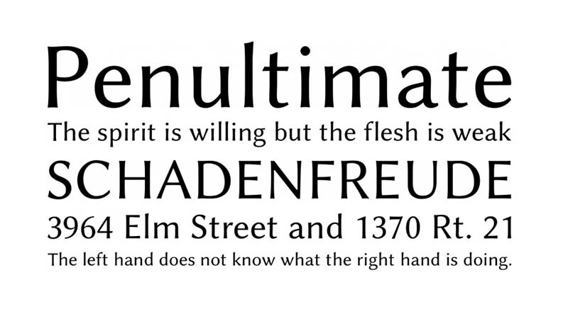 Linux Biolinum Font Free Download [Direct Link]