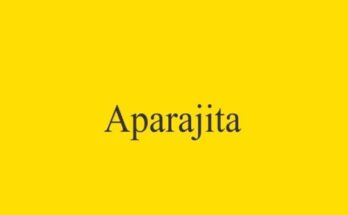 Aparajita-Font-Family-Free-Download