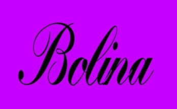 Bolina-Font-Family-Free-Download