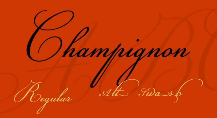 Champignon Font Family Free Download