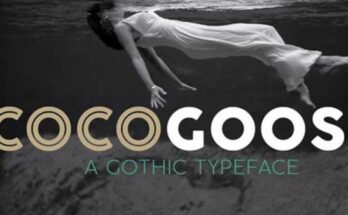 Cocogoose Font