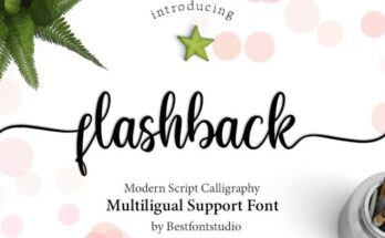 Flashback-Font-Family-Free-Download