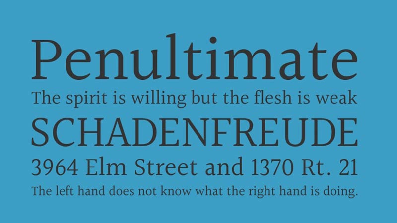 Halant Font Free Download