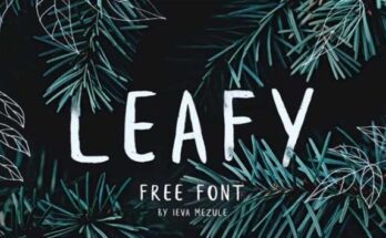 Leafy-Font-Family-Free-Download