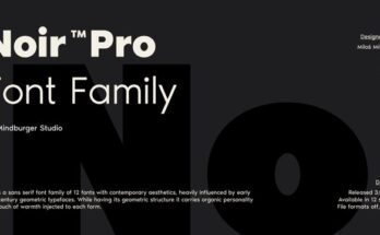 Noir Typeface Font Free Download