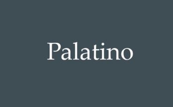 Palatino Font Family