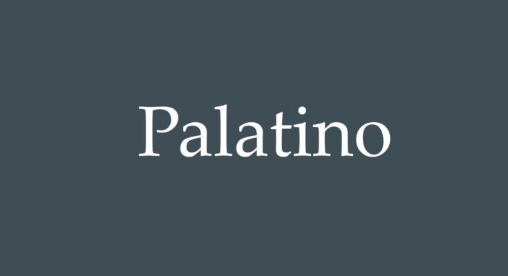 Palatino Font Family Free Download