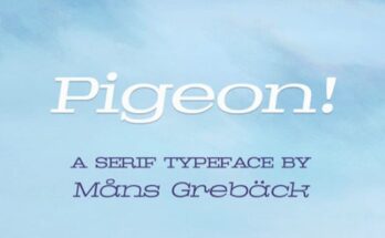 Pigeon-Font-Family-Free-Download