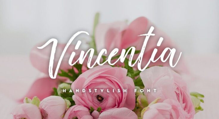 Vincentia Script Font Free Download