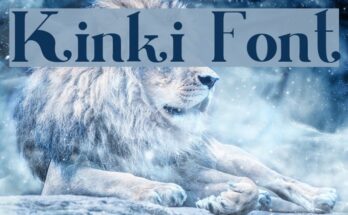 kinki font free