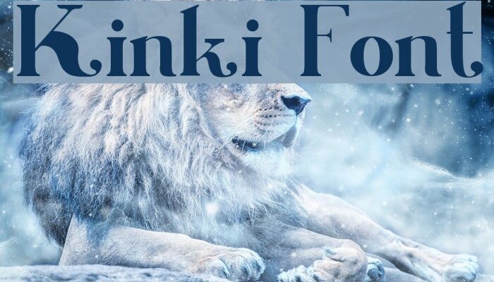 Kinki Font Free Download