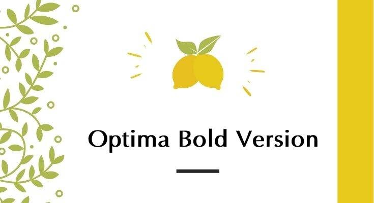 Optima Bold Font Free Download